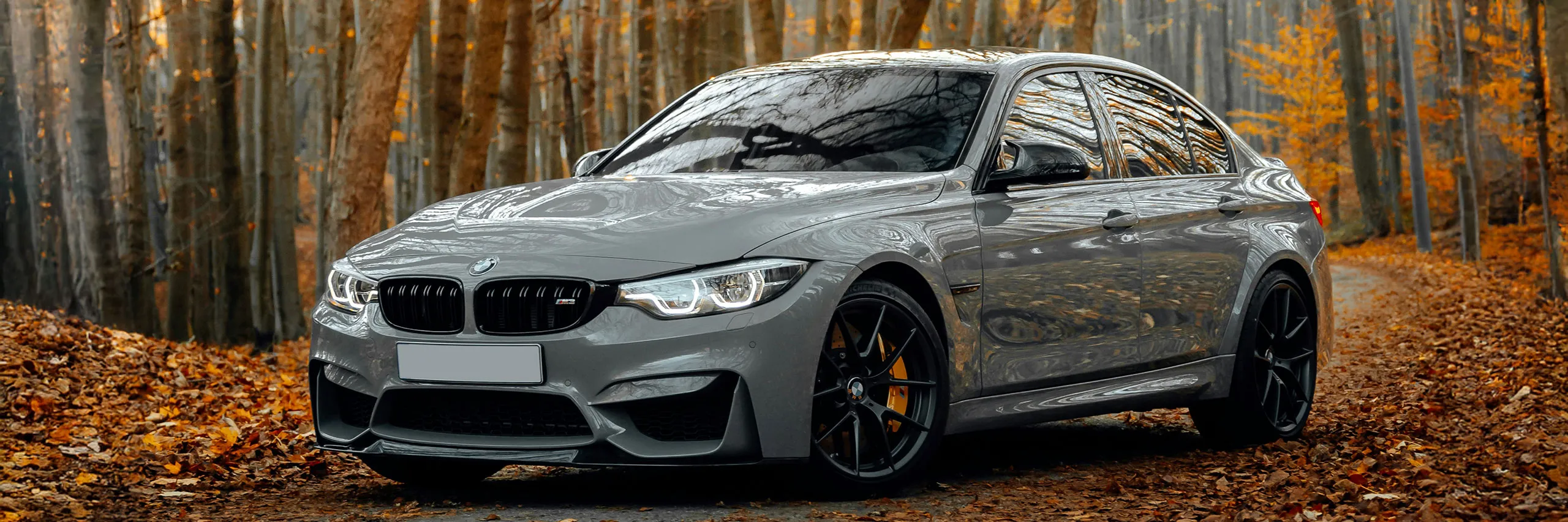 European Auto Repair near Lewisville, TX